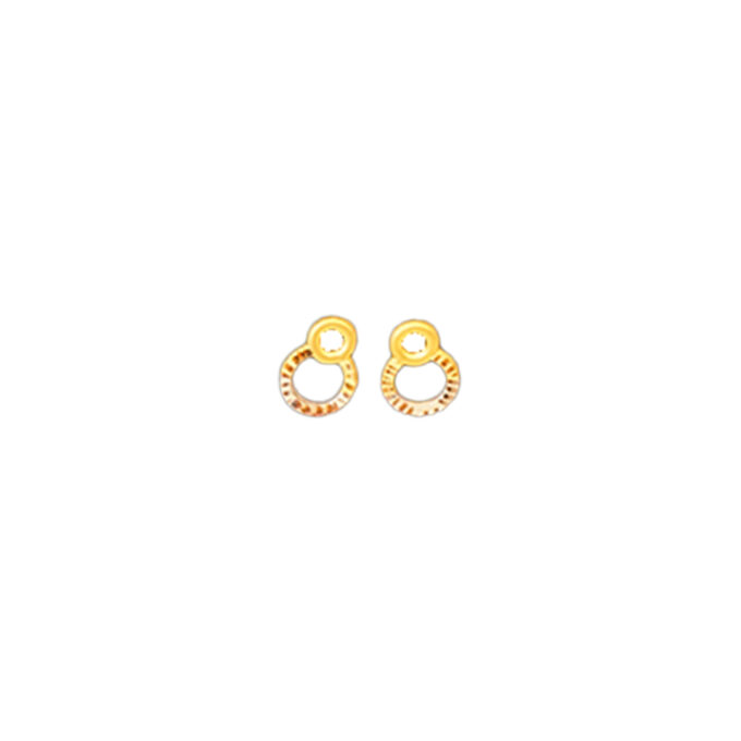 Gold Earrings Circle